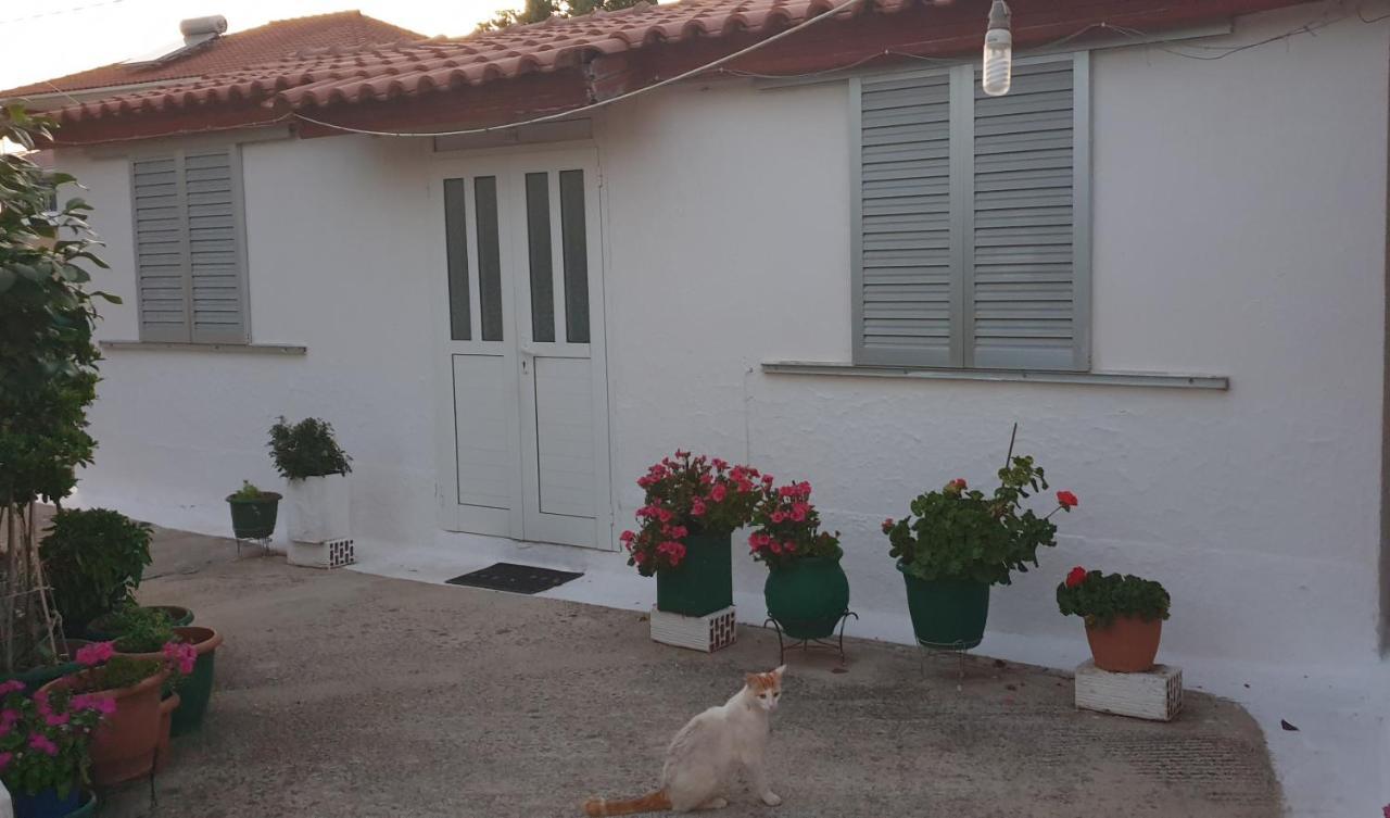 Mitikas Cosy Studio Βίλα Μύτικας Εξωτερικό φωτογραφία