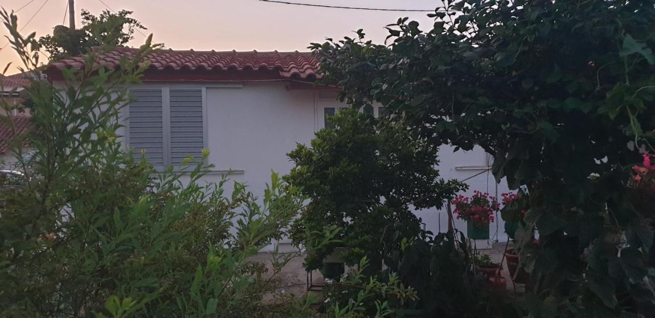 Mitikas Cosy Studio Βίλα Μύτικας Εξωτερικό φωτογραφία