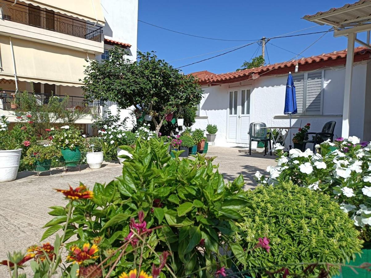 Mitikas Cosy Studio Βίλα Μύτικας Εξωτερικό φωτογραφία